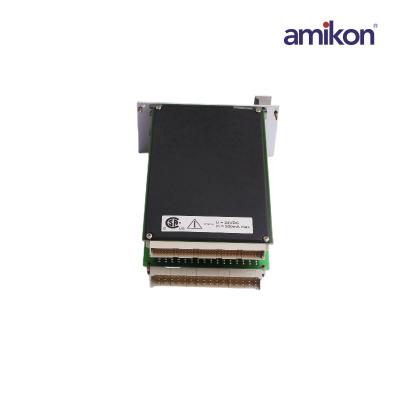 EMERSON A6740-10 Programmierbares Logikkarten-Relaismodul
    