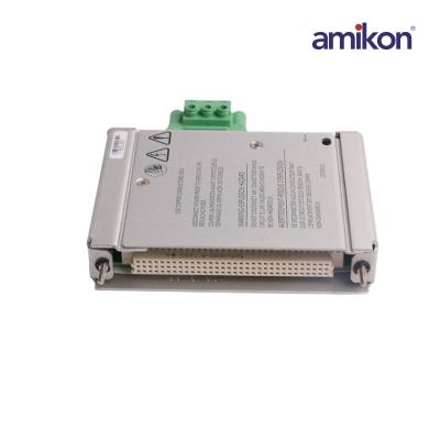 Bently Nevada 133300-01  Low Voltage DC Power Input Module