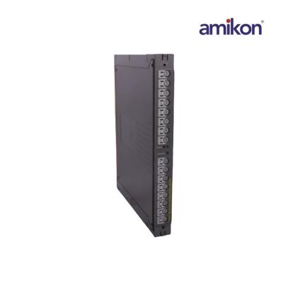 ICS Triplex AMIKON T8240C IO-Chassis