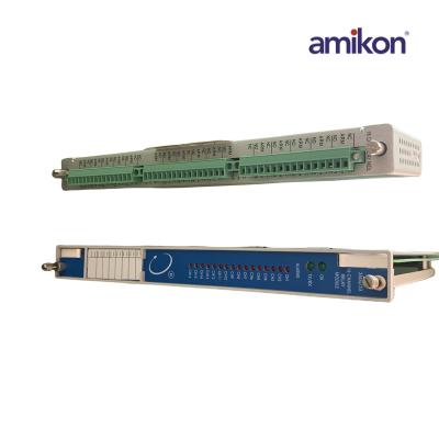 Bently Nevada 16-Kanal-Temperaturüberwachungsmodul (RTD) 3500/65-01-00