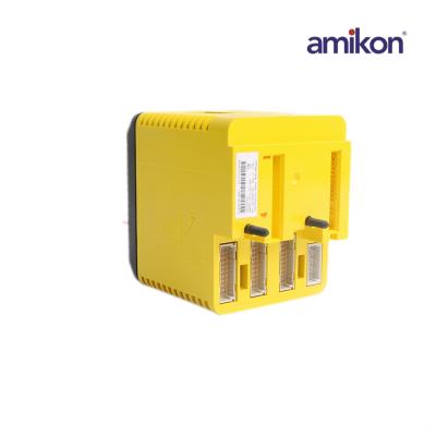 EMERSON KJ2201X1-BA1 12P3162X202 SLS1508 DeltaV Logiklöser