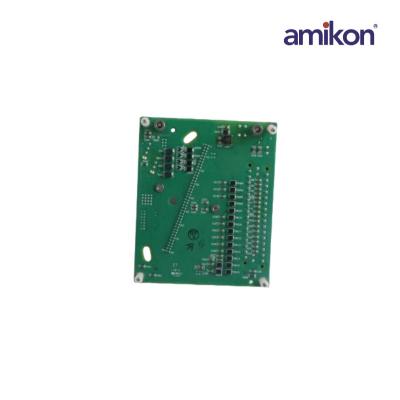 8C-TAOX61/51306981-175