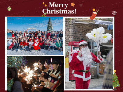 Frohe Weihnachten! Danke für eure Gesellschaft und die Wärme an eurer Seite.